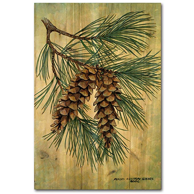 WGI-GALLERY 812 Pine Cone Wooden Wall Art